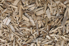biomass boilers Tuffley
